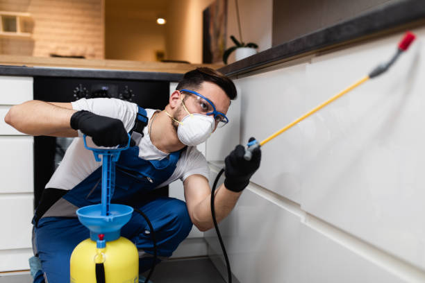 Best Best Pest Control Companies  in Eagle Crest, OR