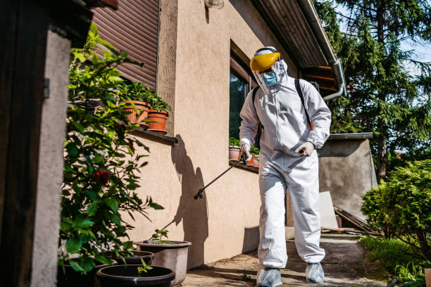 Best Local Pest Control Services  in Eagle Crest, OR