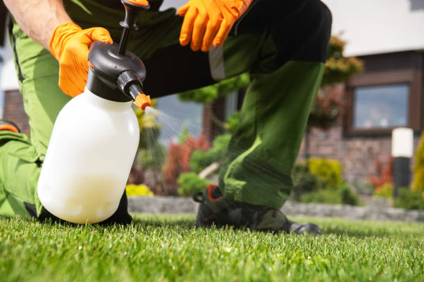 Best Mosquito Control Services  in Eagle Crest, OR
