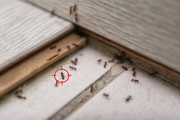 Best Exterminator Services  in Eagle Crest, OR