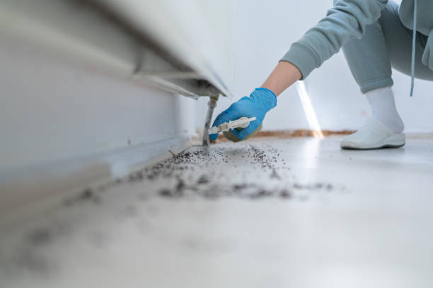 Best Commercial Pest Control Services  in Eagle Crest, OR