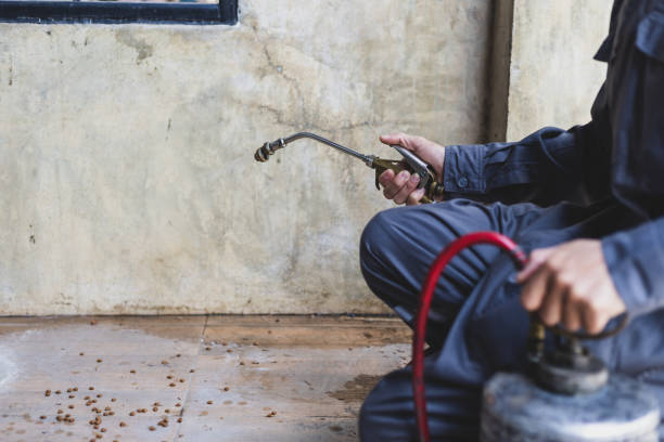 Best Pest Control Near Me  in Eagle Crest, OR